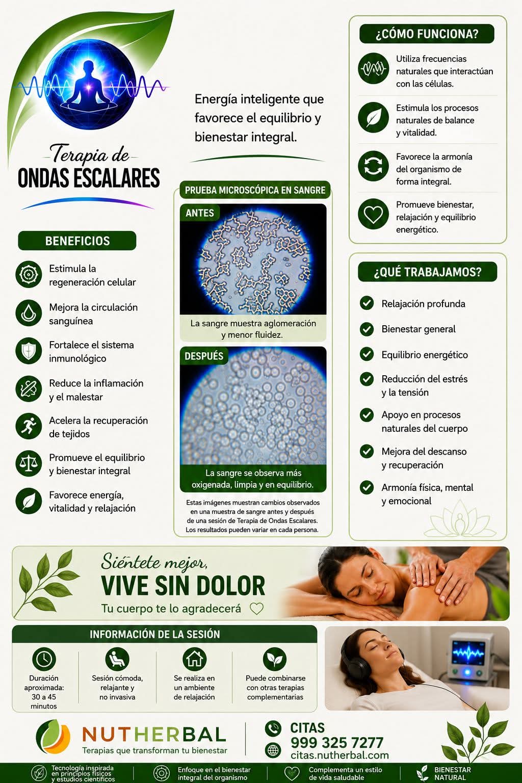 Ondas Escalares — Bienestar Integral