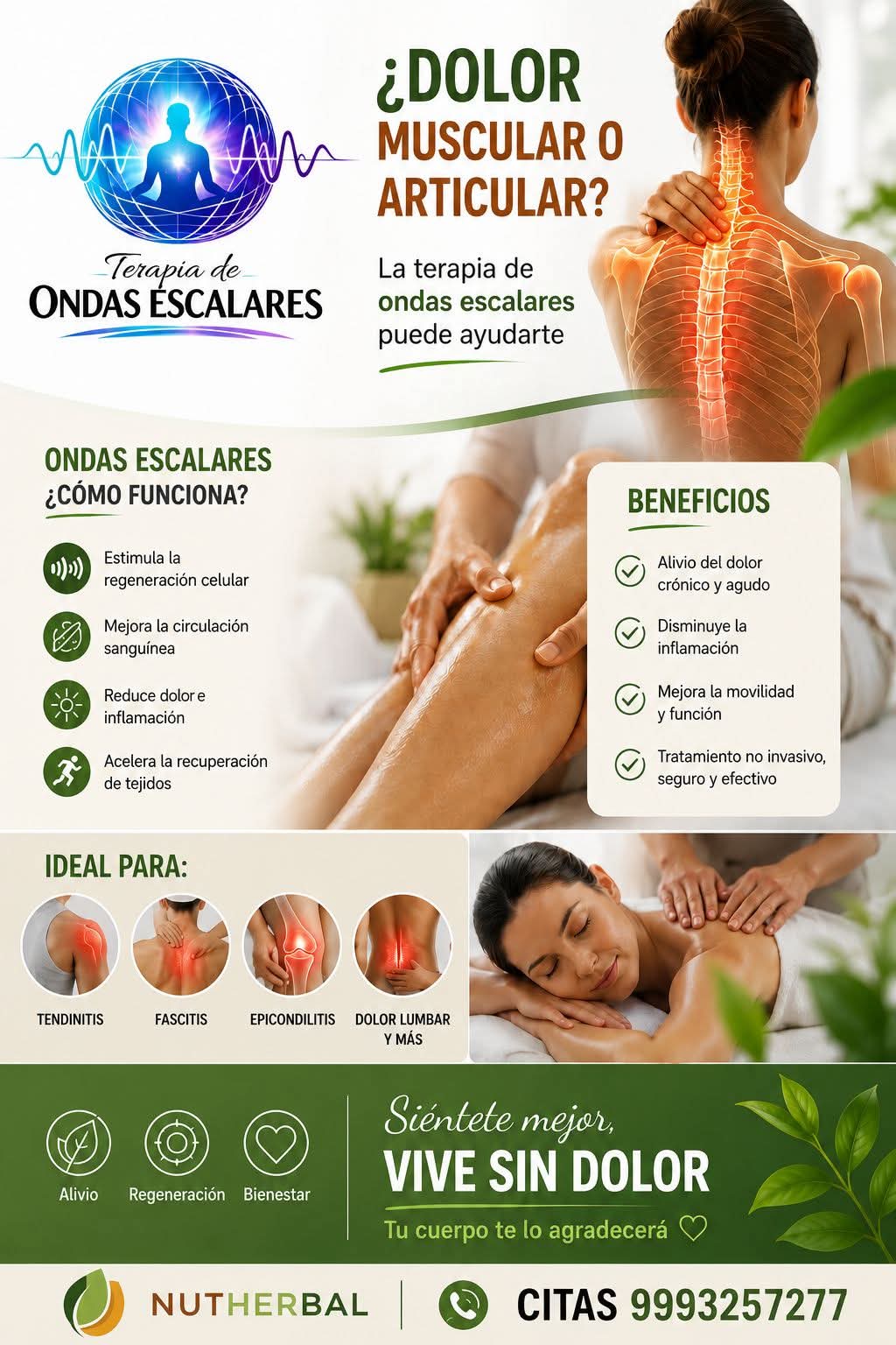 Dolor Muscular y Articular