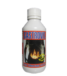 GASTROVIT